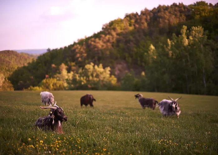 Апартаменты Cascina Le Moire *